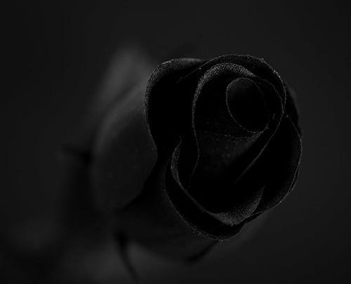 عکس پس زمینه گوشی سیاه سفید عاشقانه