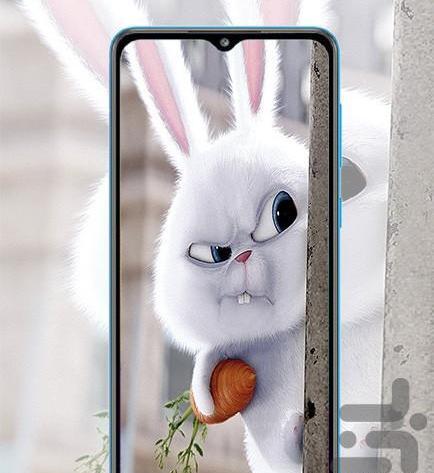 عکس خرگوش برای پس زمینه گوشی