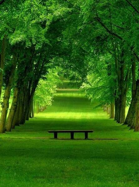 عکس خیلی زیبا برای پس زمینه گوشی