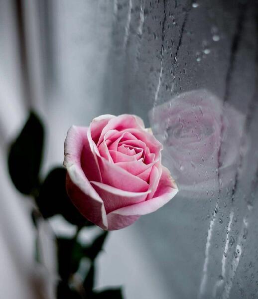 عکس خاص برای زمینه گوشی