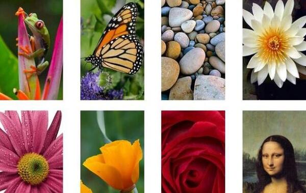 عکس تصویر زمینه اچ دی برای گوشی