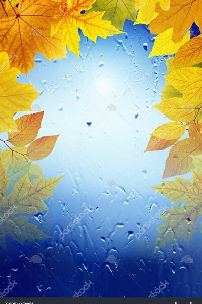 عکس پاییزی برای پس زمینه گوشی