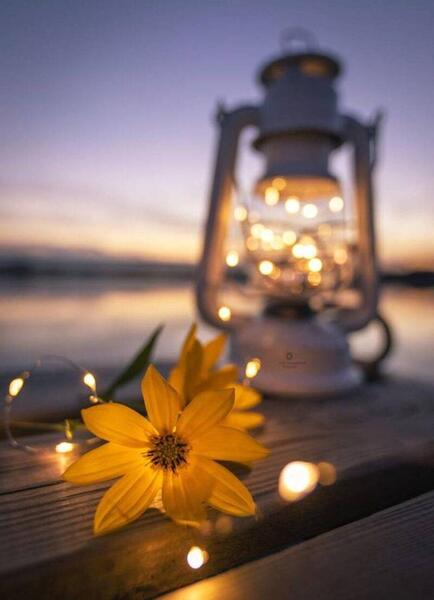 عکس پس زمینه ی گوشی دخترانه شیک