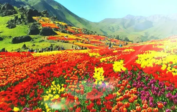 عکس در مورد زیبایی طبیعت