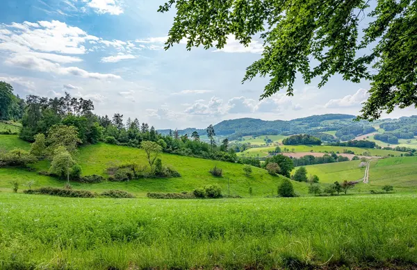 عکس هایی از زیبایی های طبیعت