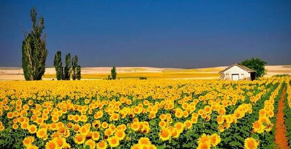 عکس هایی از زیبایی های طبیعت