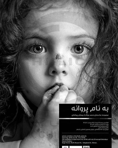 عکس سیاه سفید از پروانه