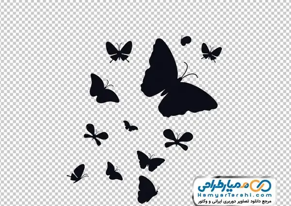 عکس سیاه سفید از پروانه