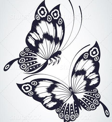 عکس سیاه سفید از پروانه