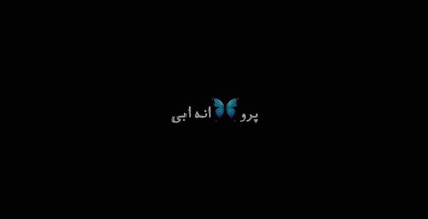 عکس پروفایل سیاه سفید پروانه
