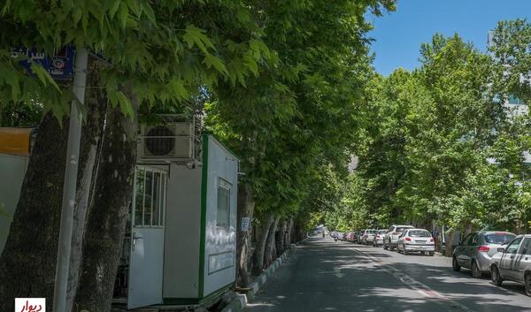 عکس های خیابان زعفرانیه تهران