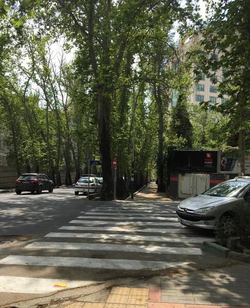 عکس های خیابان زعفرانیه تهران