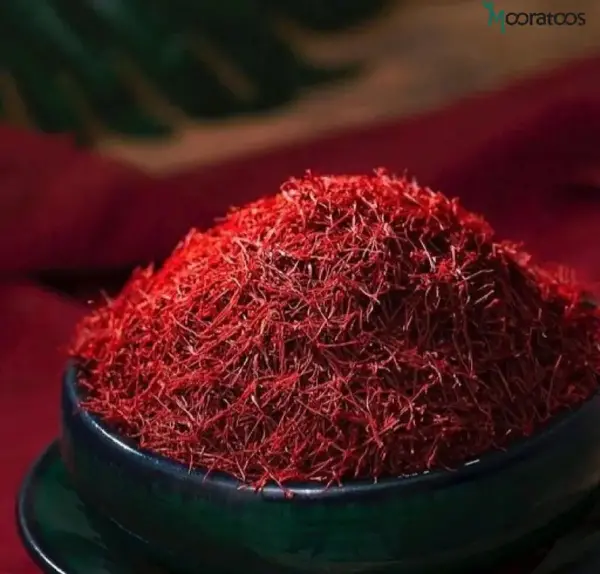 عکس زعفران واقعی