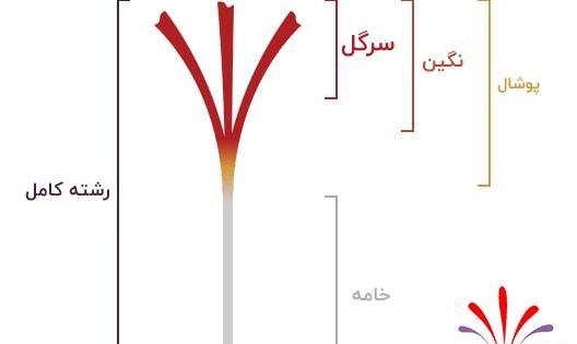 عکس تصاویر نگین زعفران