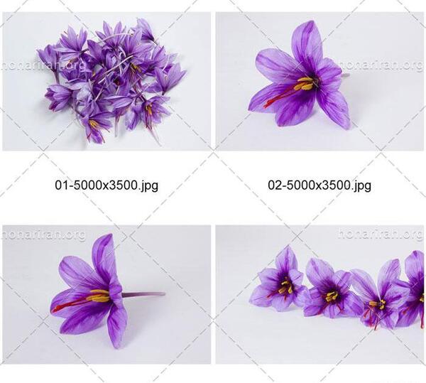 عکس نوشته زعفران برای پروفایل