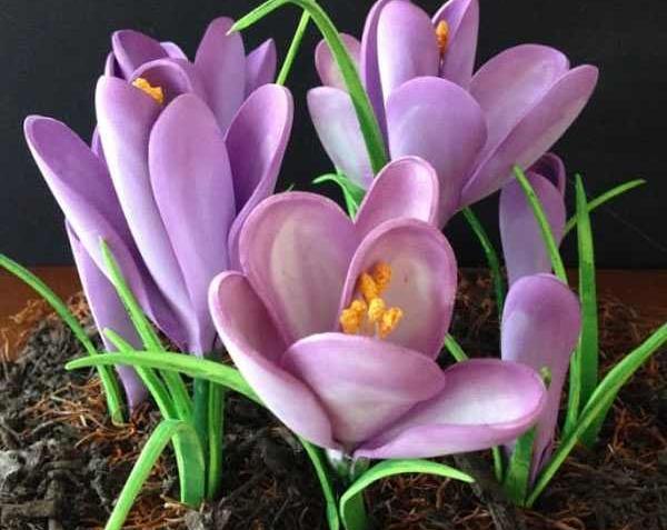 عکس نوشته زعفران برای پروفایل