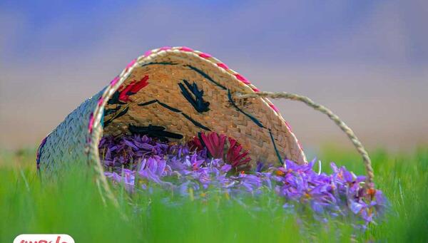 عکس نوشته زعفران برای پروفایل