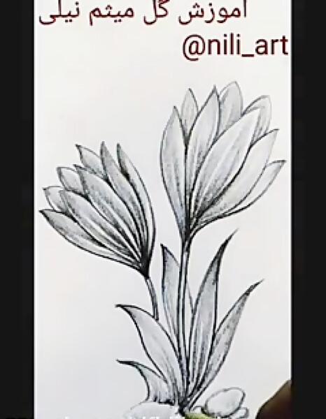 عکس زعفران برای نقاشی