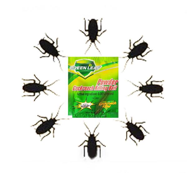 عکس کوچک ترین سوسک