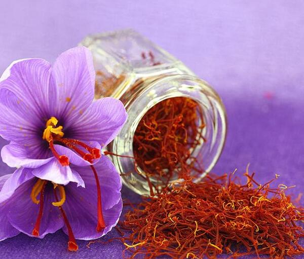 عکس از گیاه زعفران