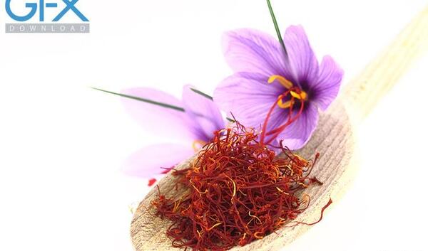 عکس زیبا از گل زعفران