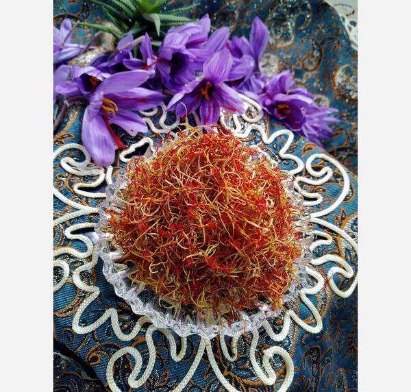 عکس ریشه گل زعفران