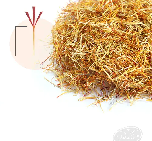 عکس ریشه گل زعفران