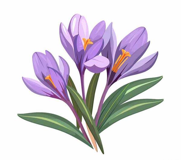 عکس رنگ زعفرانی