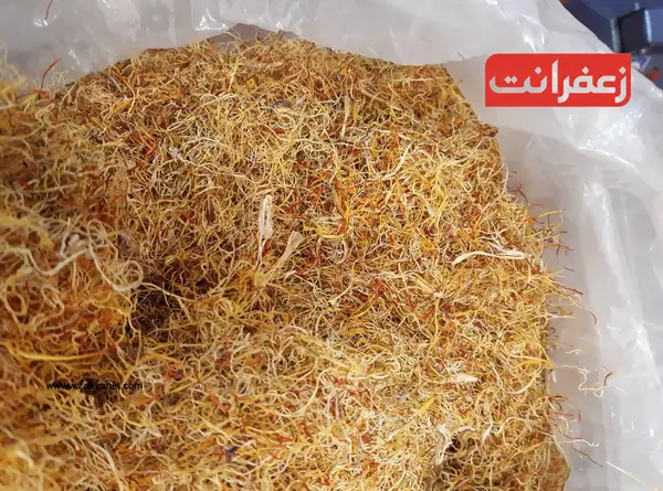 عکس ریشه ی زعفران