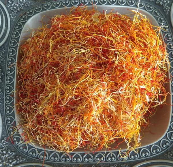 عکس ریشه ی زعفران