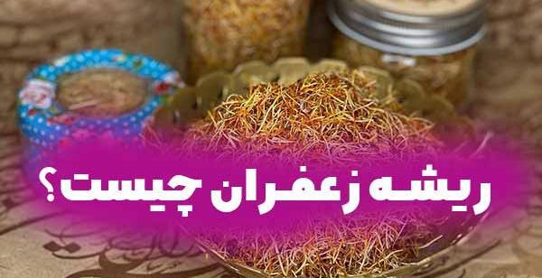 عکس ریشه ی زعفران