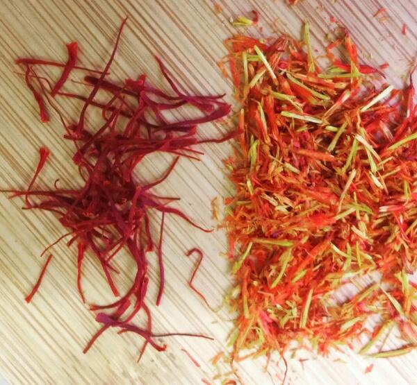 عکس ریشه ی زعفران
