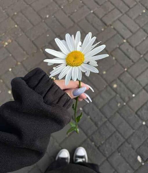 عکس ساعت برای پروفایل واتساپ