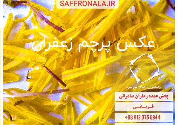 عکس پرچم گل زعفران