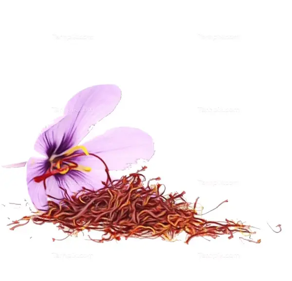 عکس از پودر زعفران