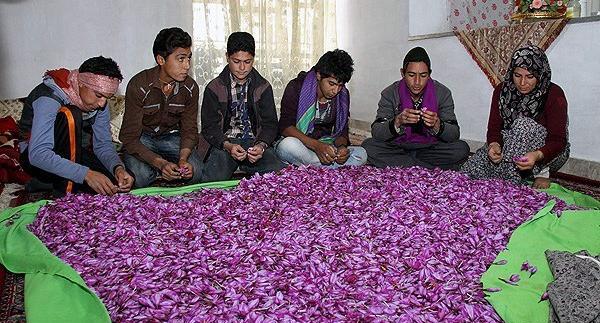 عکس پروفایل زعفران