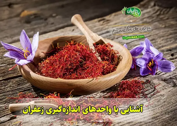 عکس پروفایل زعفران