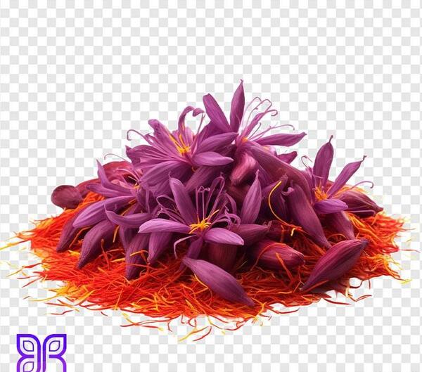 دانلود عکس با کیفیت زعفران