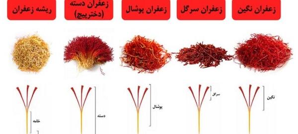 عکس از زعفران قائنات