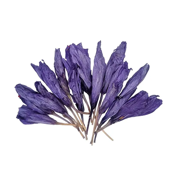 عکس انواع گل زعفران
