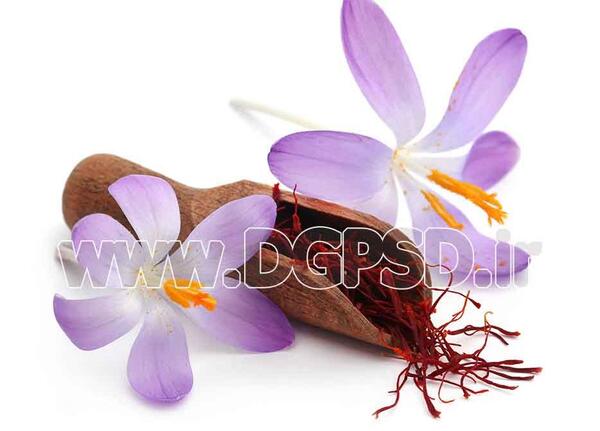 عکس انواع گل زعفران