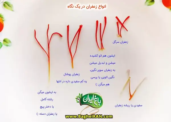 عکس زعفران پوشالی