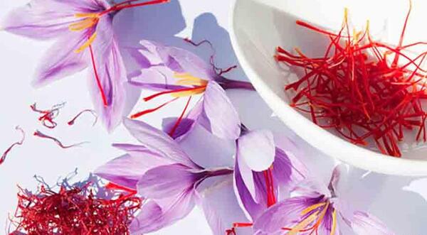 عکس زعفران پوشالی