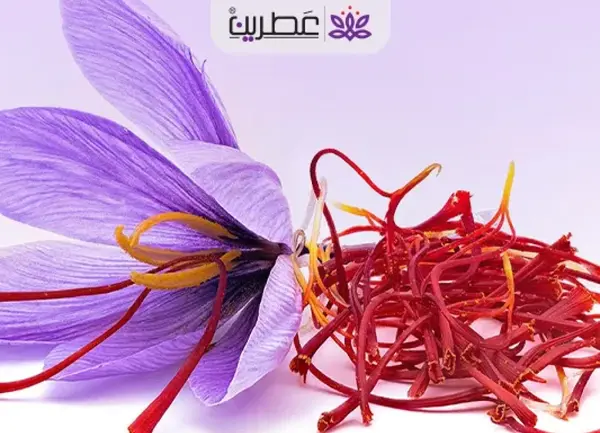عکس پودر زعفران اصل