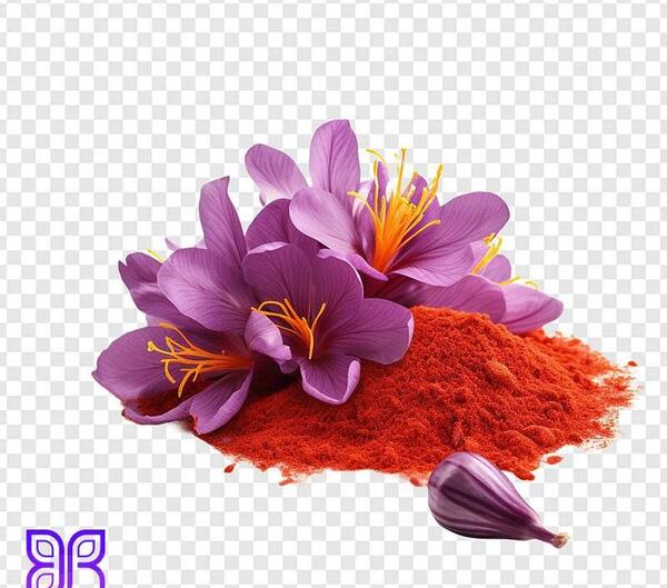عکس گلبرگ زعفران