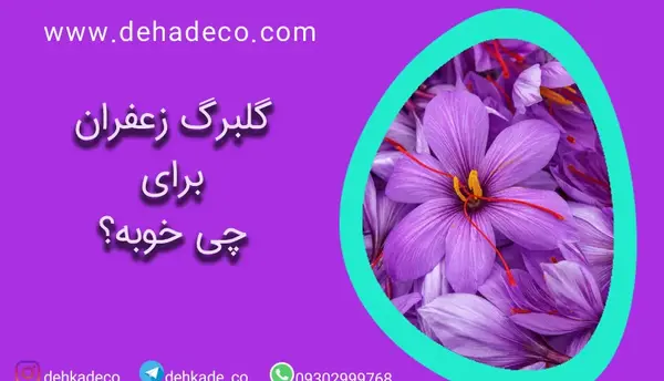 عکس گلبرگ زعفران