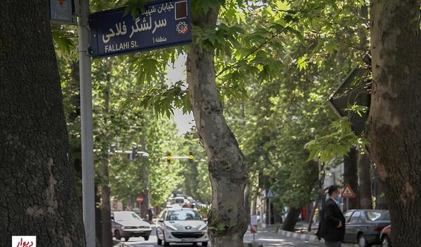 عکس شهر زعفرانیه تهران