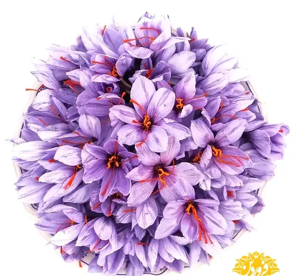 عکس زعفران نگین اتویی