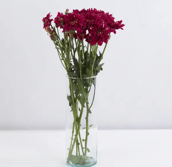 عکس های زرشکی