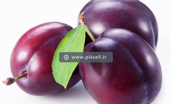 عکس های زرشکی